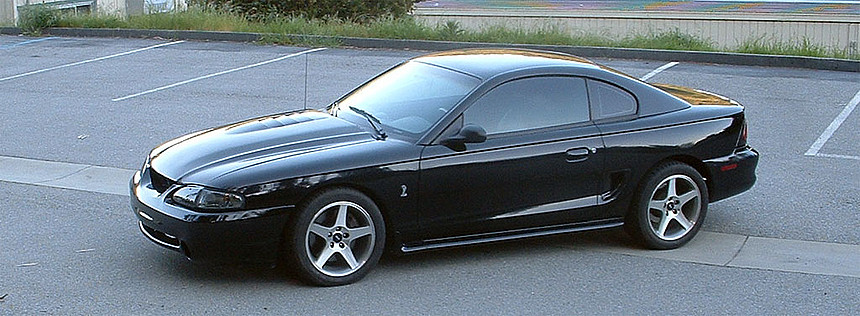 WANTED black sn95 on satin 03 cobras